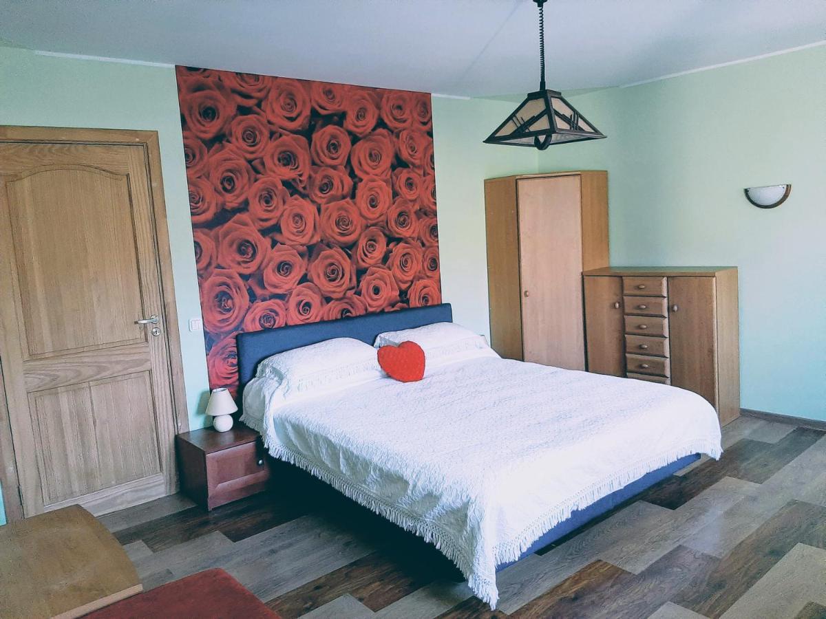 Irene Apartments Druskieniki Zewnętrze zdjęcie