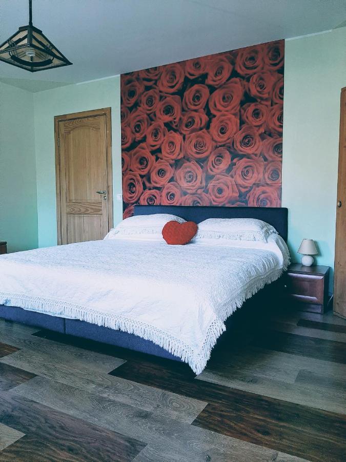 Irene Apartments Druskieniki Zewnętrze zdjęcie
